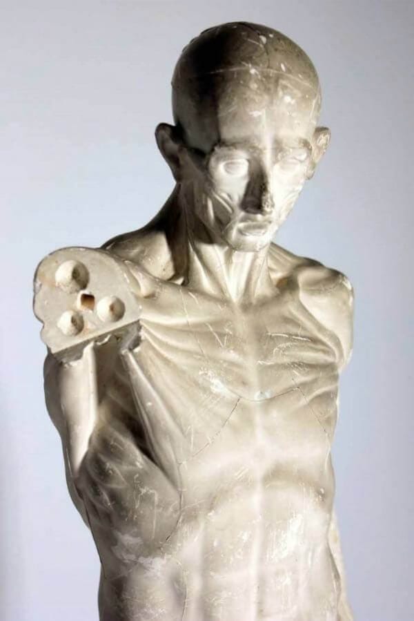 Late 19th Century Anatomical Plaster Figure