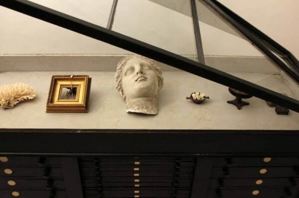 19Th Century Museum display Cabinet