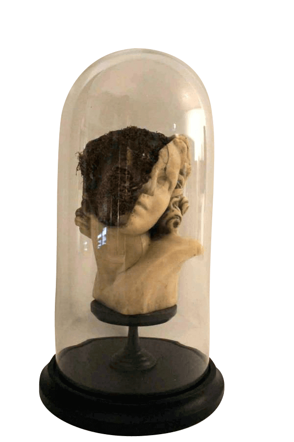 20Th Century Sculpture In A Glass Dome