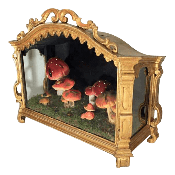 19Th Gilt Diorama Cabinet With Mushrooms And Insects