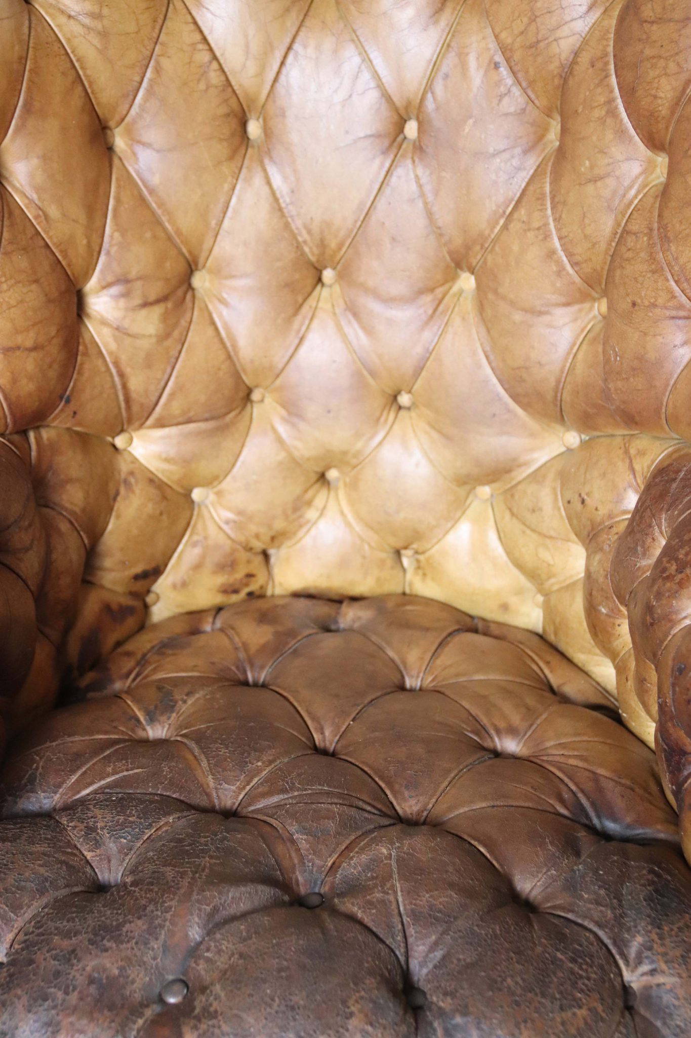 Edwardian Leather Barrel Back Arm Chair. - Image 7