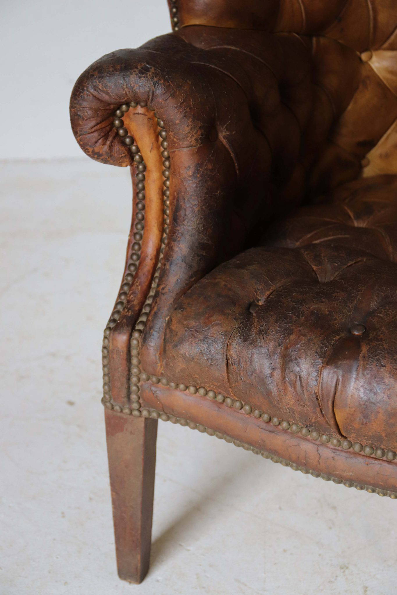 Edwardian Leather Barrel Back Arm Chair. - Image 9
