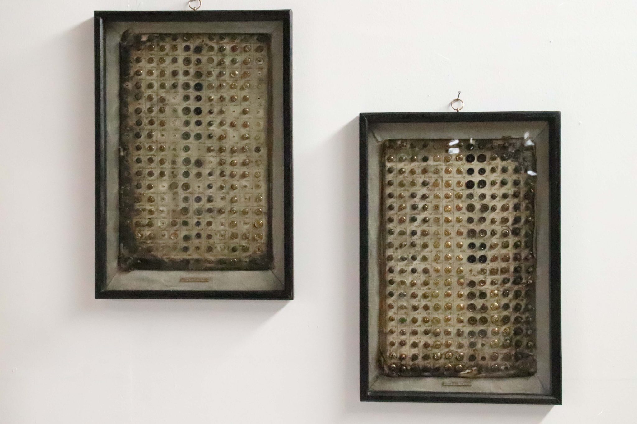 A Pair Of 19Th Century Framed Button Samplers. - Image 3