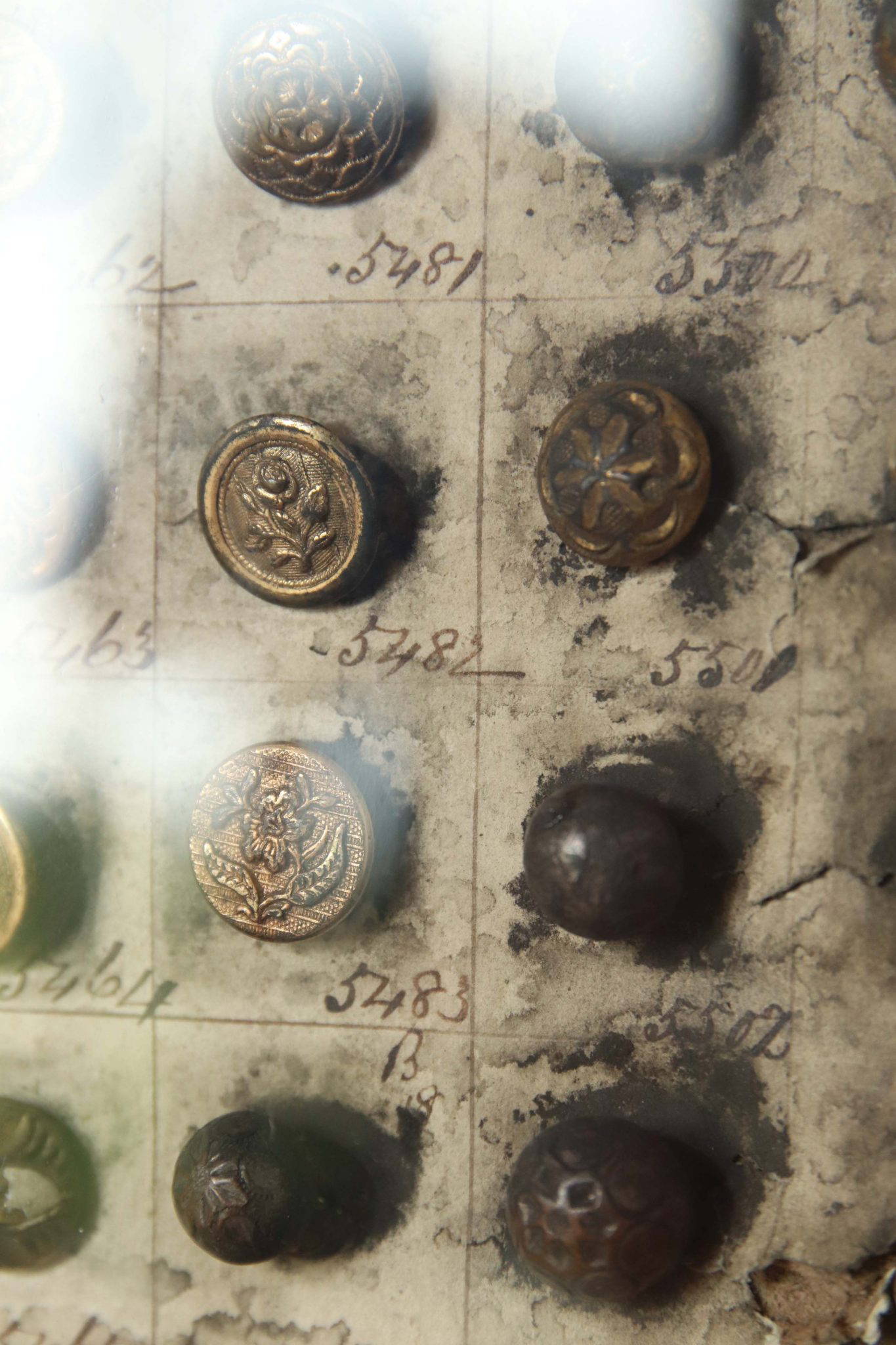 A Pair Of 19Th Century Framed Button Samplers. - Image 4
