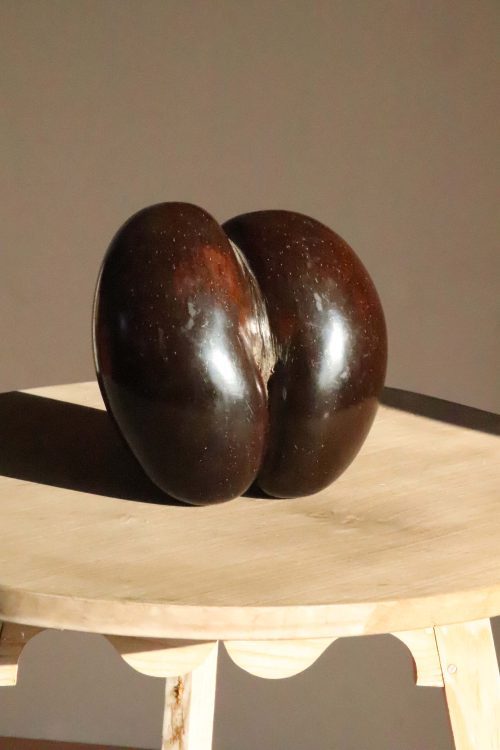 Coco De Mer