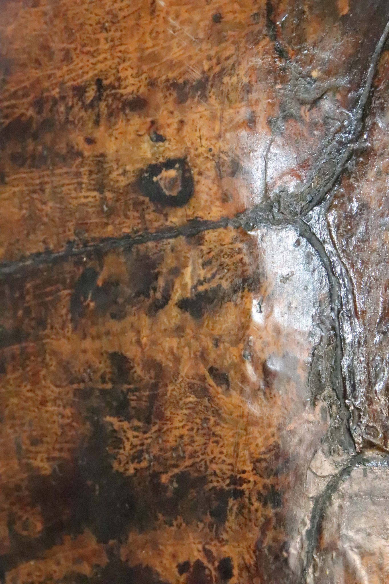 A Huge 19th Century Turtle Shell. - Image 6