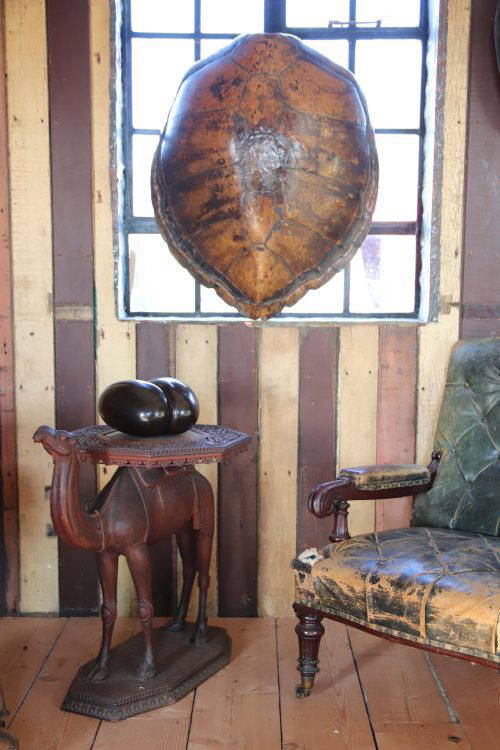 A Huge 19th Century Turtle Shell.