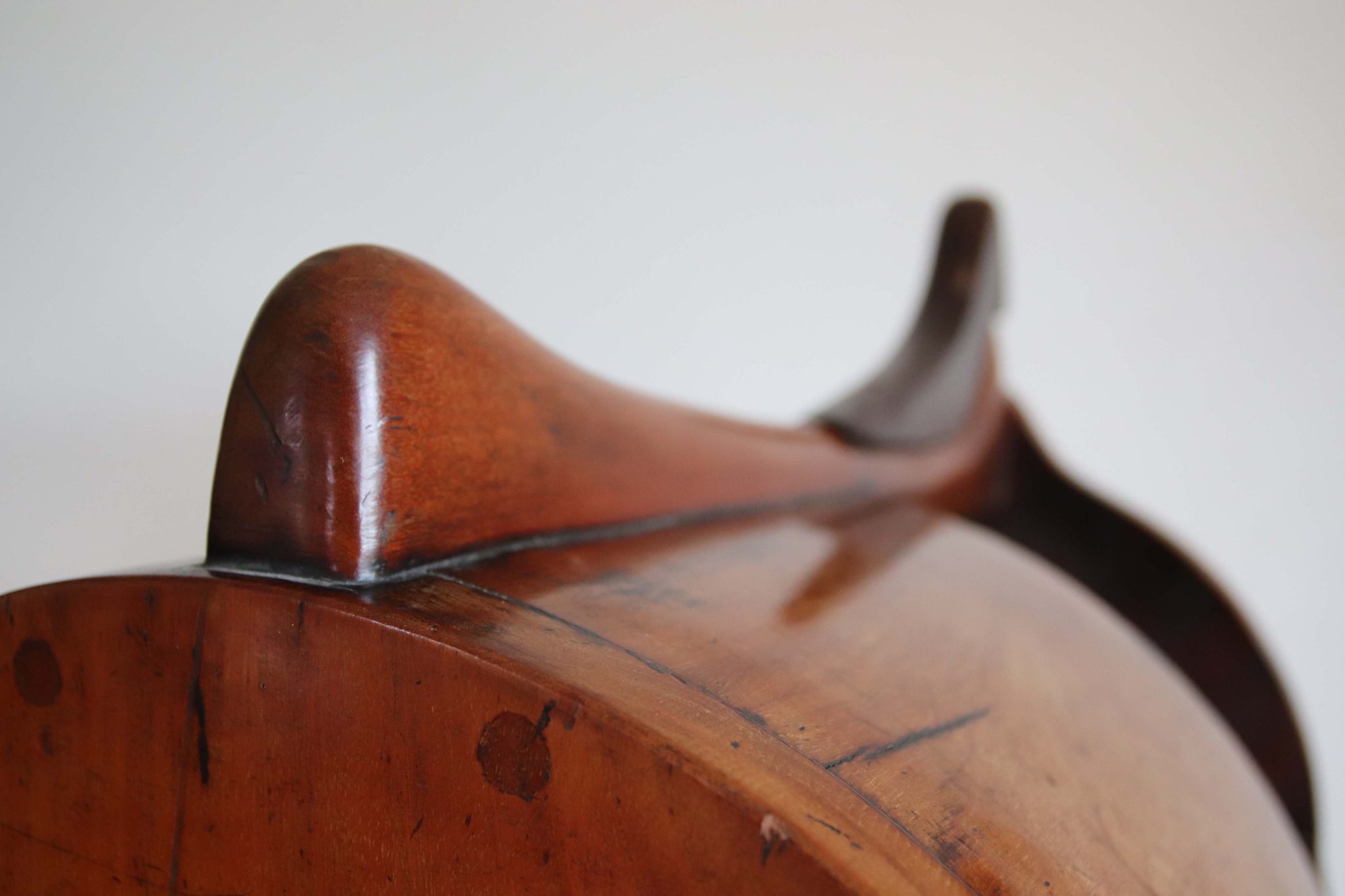 19Th Century Saddle Horse. - Image 4