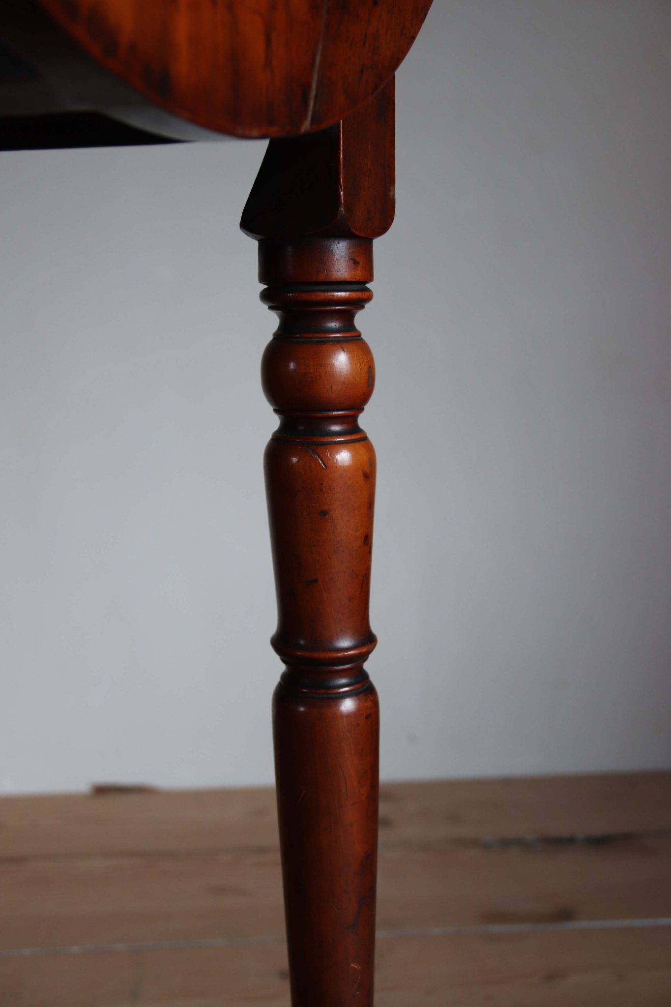 19Th Century Saddle Horse. - Image 9