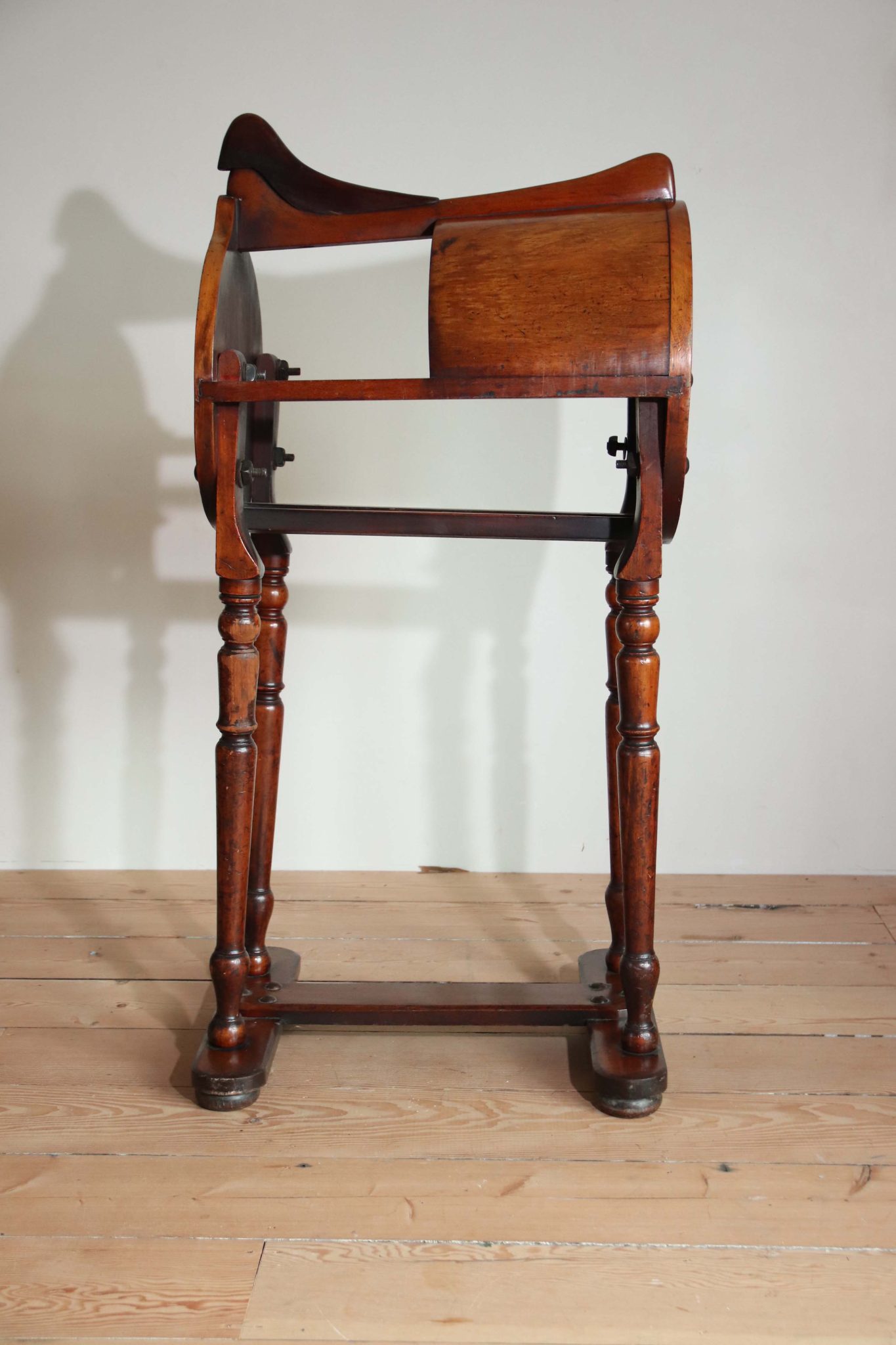 19Th Century Saddle Horse. - Image 11